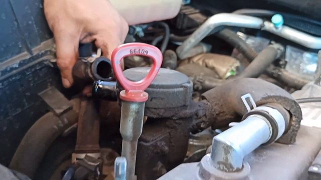 Удоление ЕГР на Ssangyong Kyron D20DT EURO-3