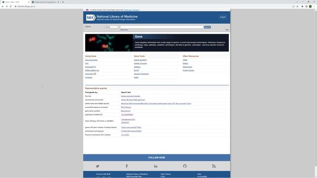 BD1. Как искать информацию о генах в базе данных NCBI смотреть онлайн