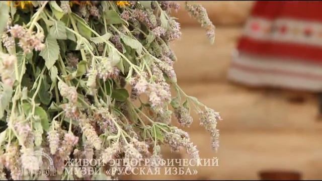 Проект Русская изба смотреть онлайн