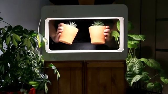 Фитосветильник смотреть онлайн