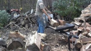 Заготовка дров в лесу.