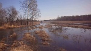 Квадрик.с/д