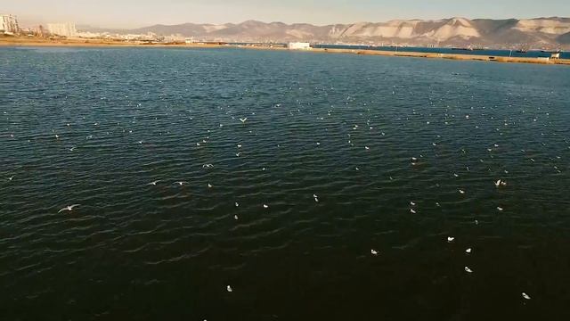 Одно из первых хороших аэровидео про Новороссийск. Drone Flying Around Port Town Novorossiysk.