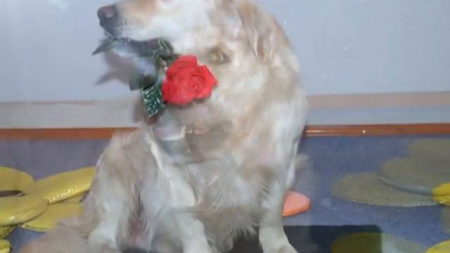 Каждый найдёт за что просить прощенья смотреть онлайн