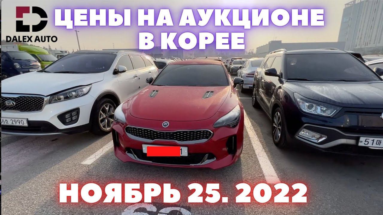Авто из Кореи напрямую либо под ключ. Обзор авто на аукционе смотреть онлайн