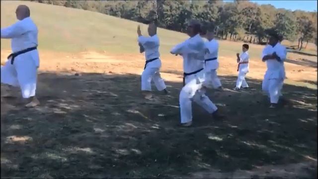 Shihan Yavuz OKUR Shotokan KARATE - 5 смотреть онлайн