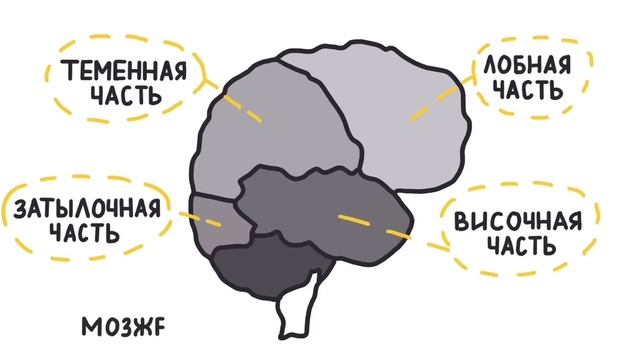 Что такое СКРАЙБИНГ