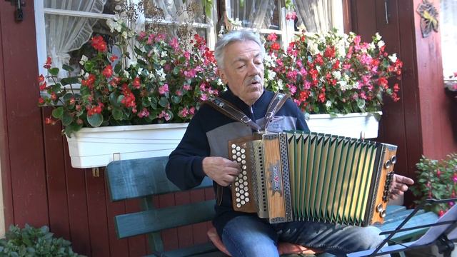 Vogtlandlied - Heimatlied auf der steirischen Harmonika gespielt - Vogtland meine Heimat смотреть онлайн