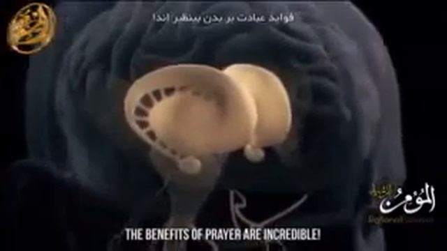 Польза Намаза! Namaz Of Muslim