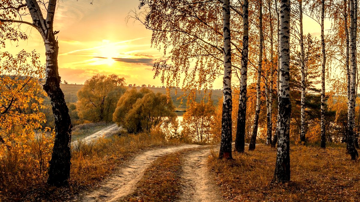 На финишной прямой. О вашей готовности к переходу в Пятое измерение.