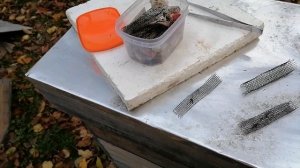 Нюансы обработки пчёл шнуром ТЭДа.