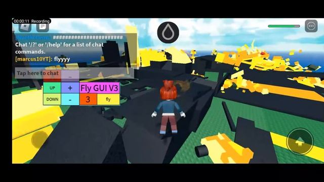 Roblox Mod Menu Flying Hack 2.552.587 смотреть онлайн