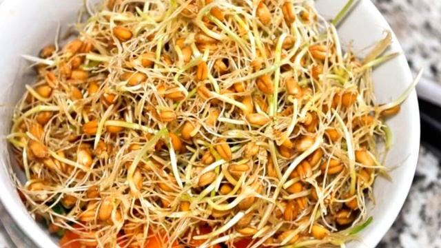 Пророщенная пшеница - Чем полезна пшеница и чем она багата? смотреть онлайн