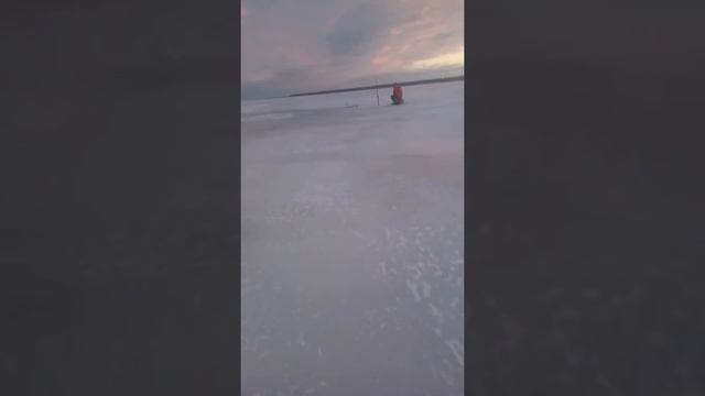 Мотособака ветерок смотреть онлайн