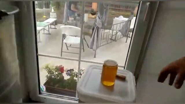 Качаем Свежий Майский Мёд Ученику!!! смотреть онлайн