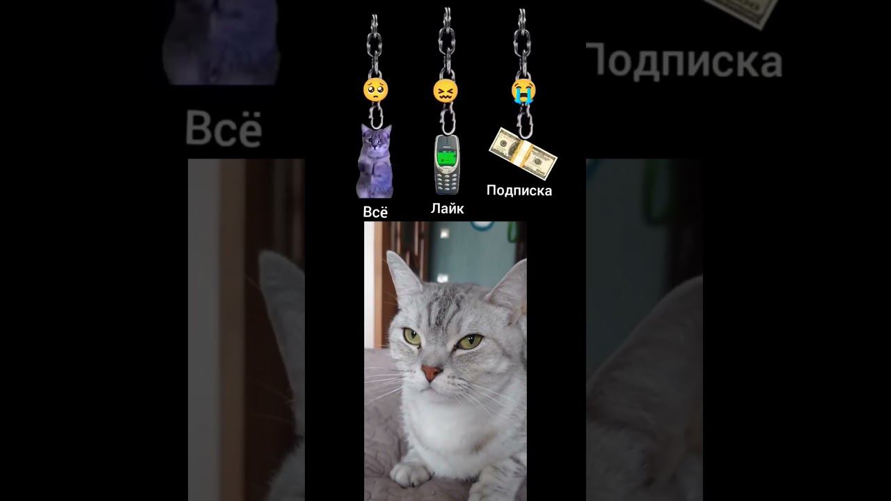 Кого ты выберешь? #shorts смотреть онлайн