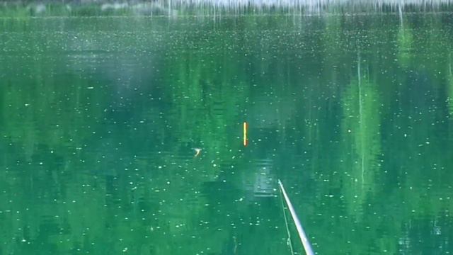 В мае на Меловом, поплавок. Карьер Пепики. смотреть онлайн