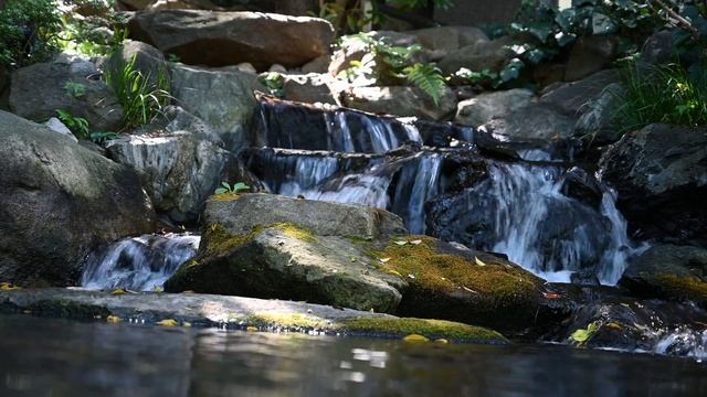 4K-съемка на Nikon Z 7 смотреть онлайн