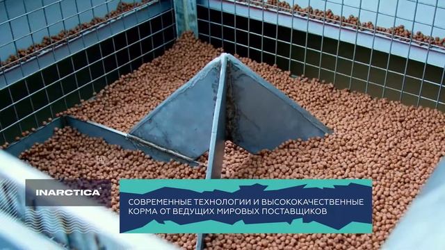Производство INARCTICA смотреть онлайн