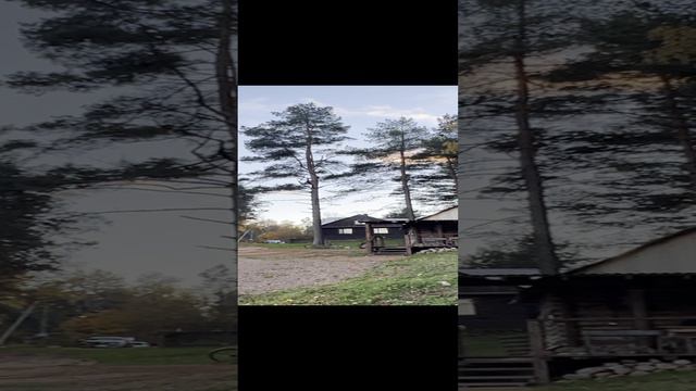 Природа вокруг