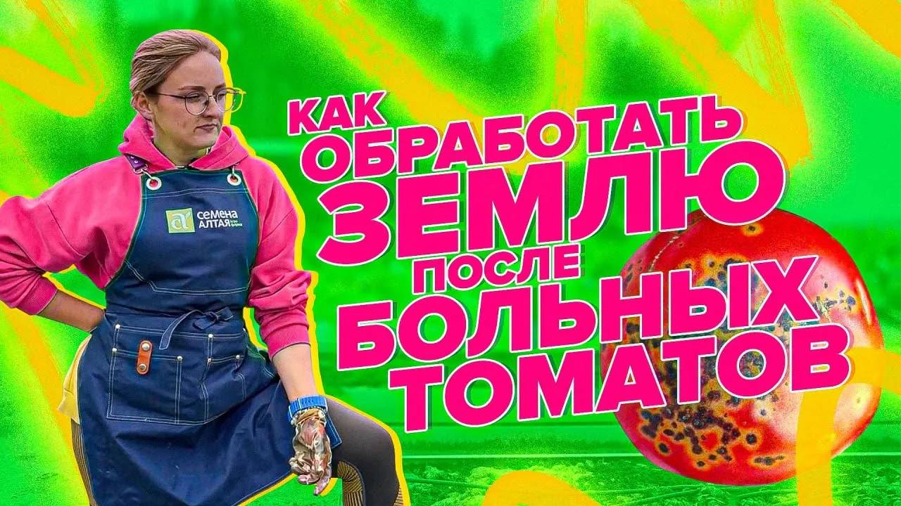 КАК ОЧИСТИТЬ ЗЕМЛЮ ПОСЛЕ ФИТОФТОРЫ БЕЗОПАСНО И БЕСПЛАТНО?! смотреть онлайн