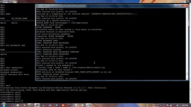 Restore missing SPFILE without any backup - Disaster Recovery смотреть онлайн