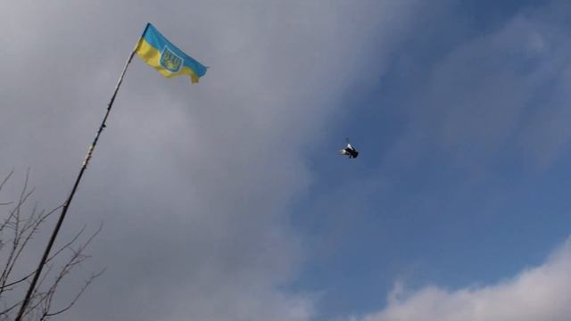 МОИ ГОЛУБИ!!!.ВИДЕО ПОЯВИЛОСЬ ПРОШЛОЕ. смотреть онлайн