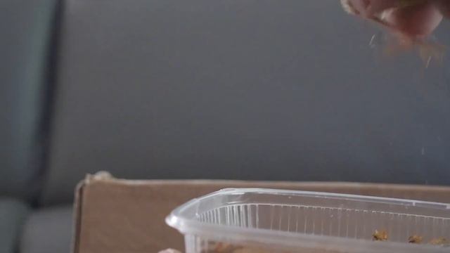 Папа научит сына как правильно бриться в первый раз. Спасаем маленьких птенцов из гнезда. смотреть онлайн