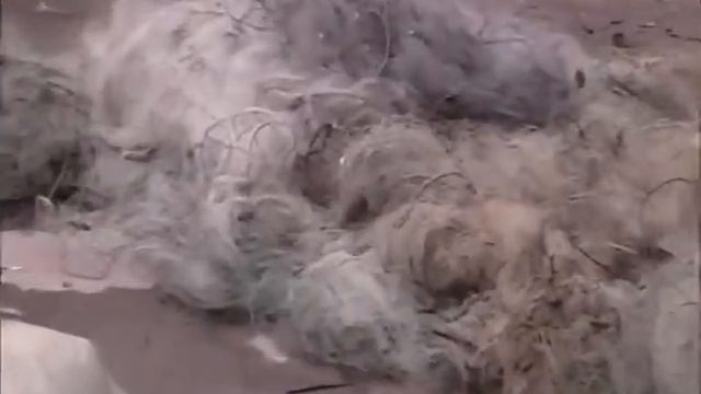 Март Итоги Рейда по Дону смотреть онлайн