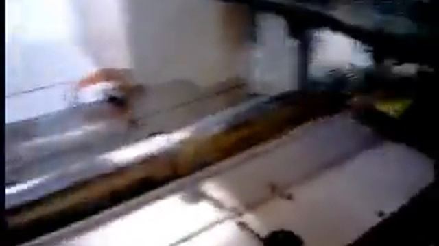 Машина ЛИНЕПАК Ф3 Конфеты во флоу-пак смотреть онлайн