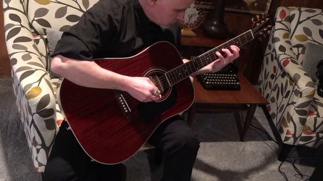 Washburn D-100M/TWR Acoustic Guitar W/Case