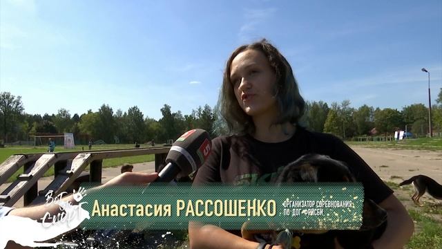 Вот это спорт! ДОГ-ФРИСБИ смотреть онлайн