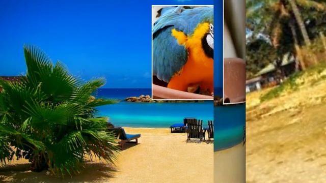 Видео открытка. Для хорошего настроения. Море волнуется манит к себе! смотреть онлайн