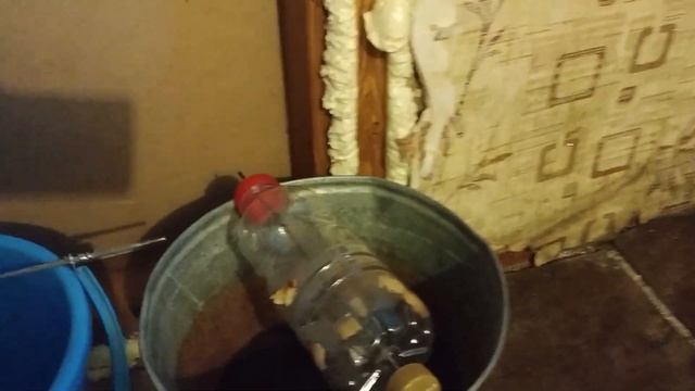 5 видов мышеловок своими руками, гуманные и не очень!!! смотреть онлайн