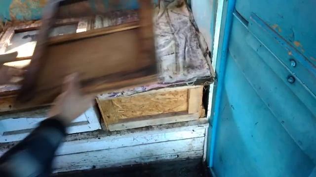 Для ветврачей: отбор зимнего подмора пчёл на анализ смотреть онлайн