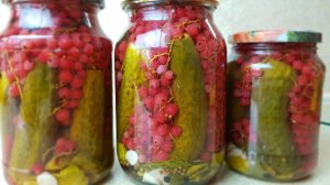 Самые ВКУСНЫЕ огурцы с КРАСНОЙ СМОРОДИНОЙ, цыганка готовит. Gipsy cuisine.