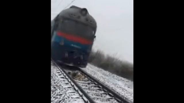 Собака спасает свою напарницу от наезда поезда смотреть онлайн