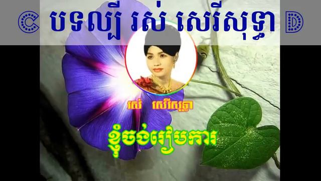 Ros Sereysothea Nonstop   Ros Sereysothea Songs Mp3 Collection