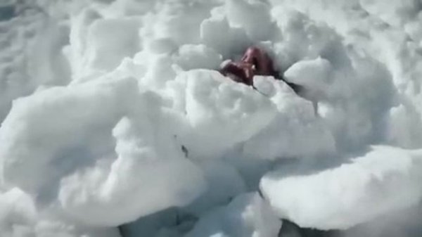 Фильм огонь 🔥 - Вся Жизнь -2023 🔥