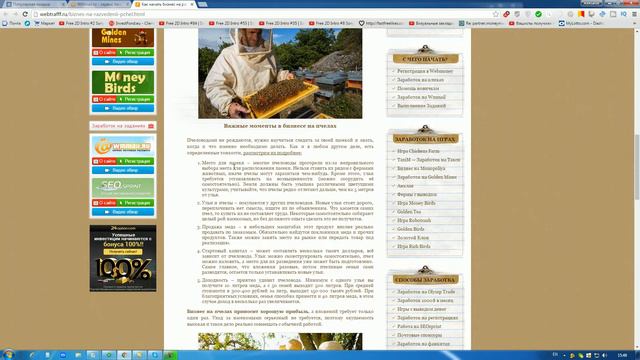 Бизнес на разведении пчел. Как начать бизнес на пчелах? смотреть онлайн