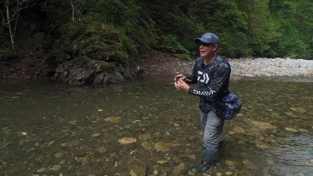 DAIWA SILVER CREEK SPINNER / Алексей Шанин смотреть онлайн