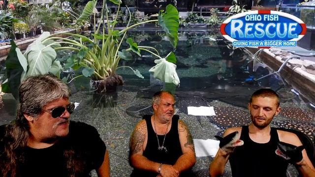 STAY FISHY FRIDAY :) 09/02/22 -TRACY UPDATE, смотреть онлайн