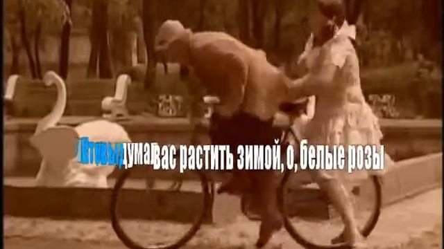Белые розы Караоке смотреть онлайн