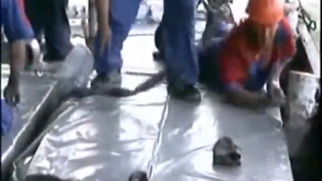 Stropan Омск - разгрузка ЦСП смотреть онлайн