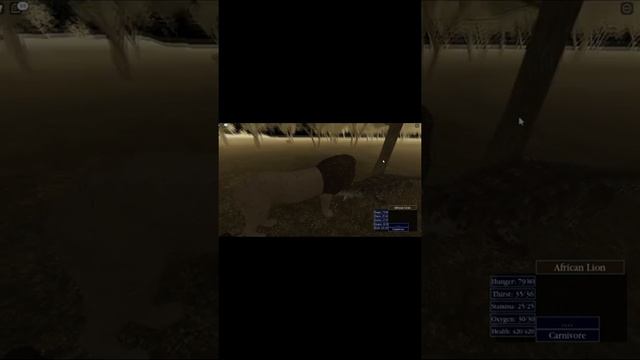 РОБЛОКС САВАННА СМЕШНОЙ МОМЕНТ смотреть онлайн