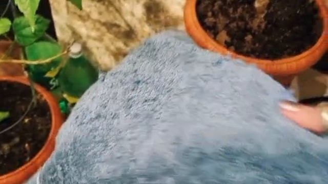 Яндекс станция Алиса и кожаная.