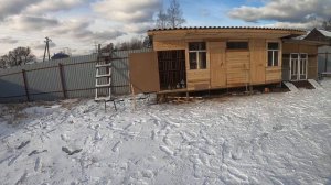 турецкая такла голуби после линка первый день в  посадка