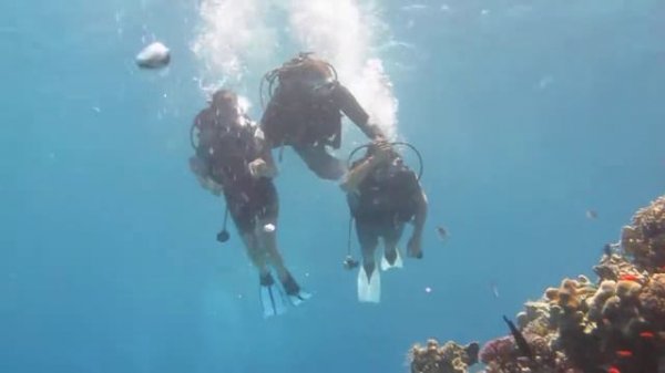 Red sea diving Sharm El-Sheikh, Pegas Touristik