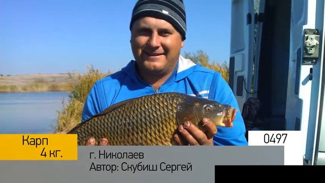 Фотоальбом - Рыбалка №99 смотреть онлайн