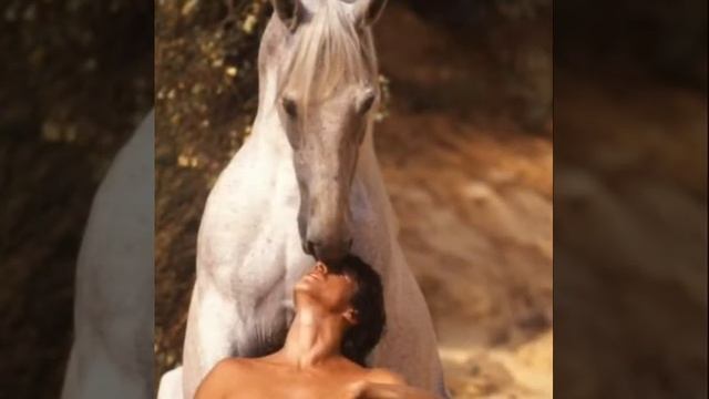 Буланый конь - Кабриолет. смотреть онлайн